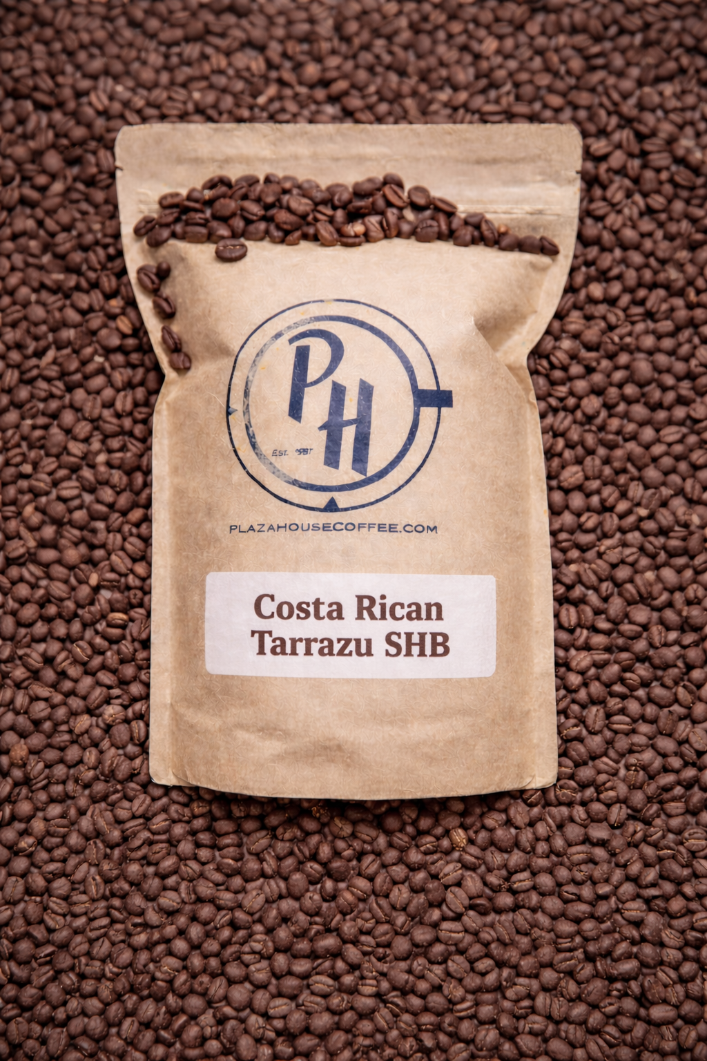Costa Rican Tarrazu SHB Plaza House Coffee