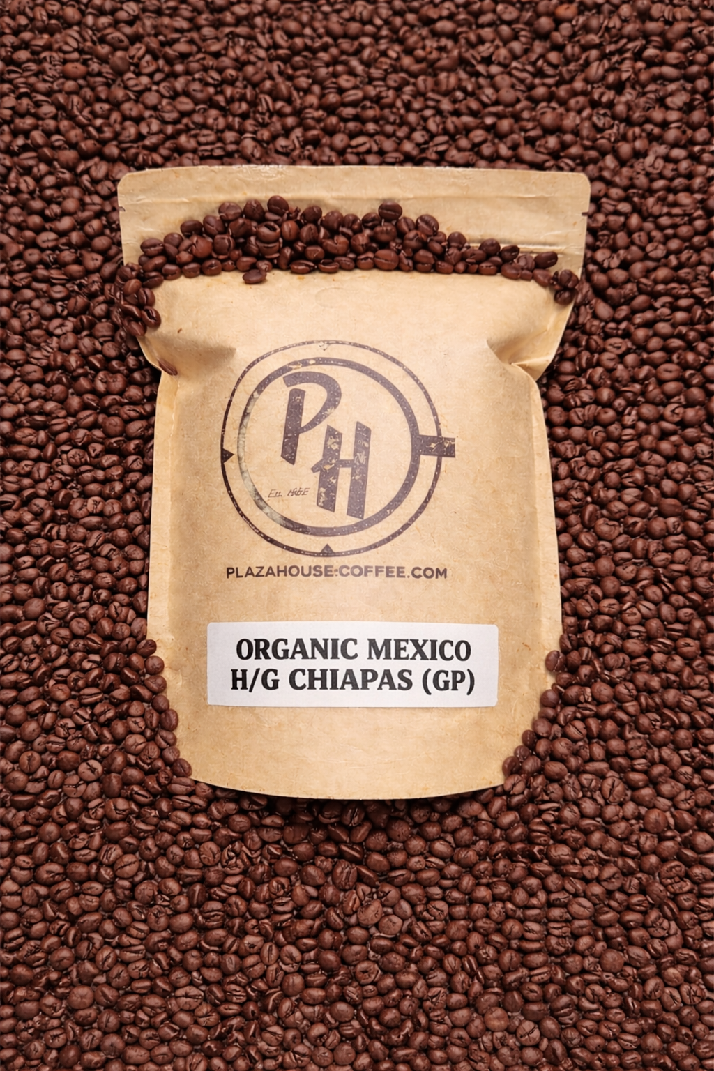 ORGANIC MEXICO H/G CHIAPAS (GP) Plaza House Coffee